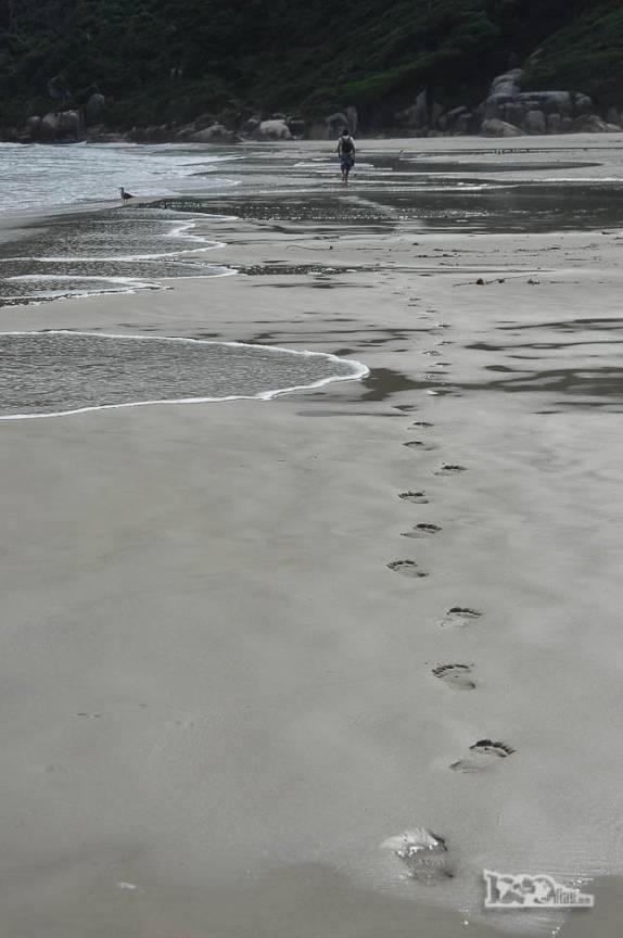 Caminhando na praia deserta de Naufragados, no extremo sul de Florianópolis, Ilha de Santa Catarina
